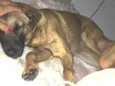 Lola