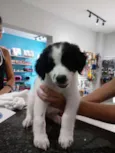 Orio