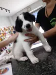 Orio