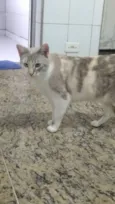 Drika