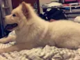 Cindy
