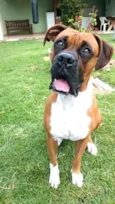 Cooper