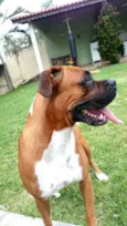 Cooper