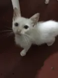 Ainda ñ tem 