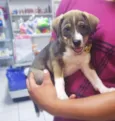 Bruno