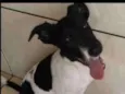 Dug