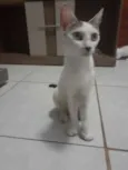 Lola