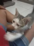 Eles ainda tem nome