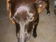 Neguinha