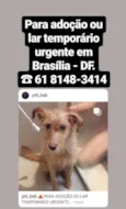sem nome