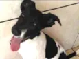 Dug