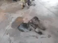 Nao sei