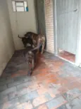 Nao sei