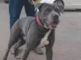 Tufão 