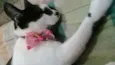Marie