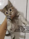 Baby 1