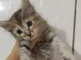 Baby 1