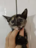 Baby 2