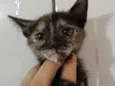 Baby 2