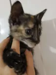 Baby 2