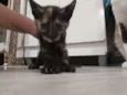 Baby 2