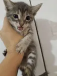 Baby 3