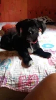 Princesa 