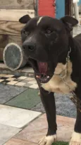 Zeus