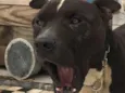 Zeus