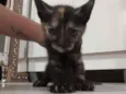 Baby 2