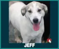 Jeff