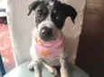 Ainda nao tem