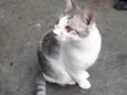 Defini como “Loki”