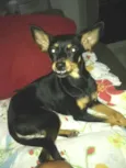 Bia