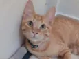 Vida