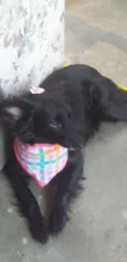 Luisa