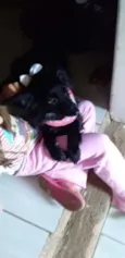 Luisa