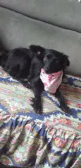 Luisa