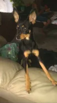Bia