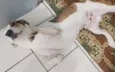 Paçoca