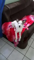 Maggie
