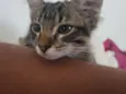 Khali