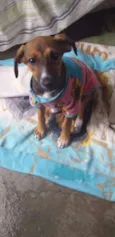 Milly