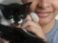Tomas