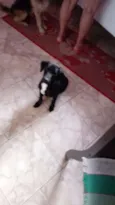 Pelé