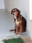 Joana