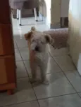 Lili