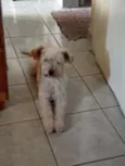 Lili