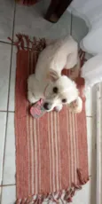 Lili