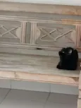 Teo